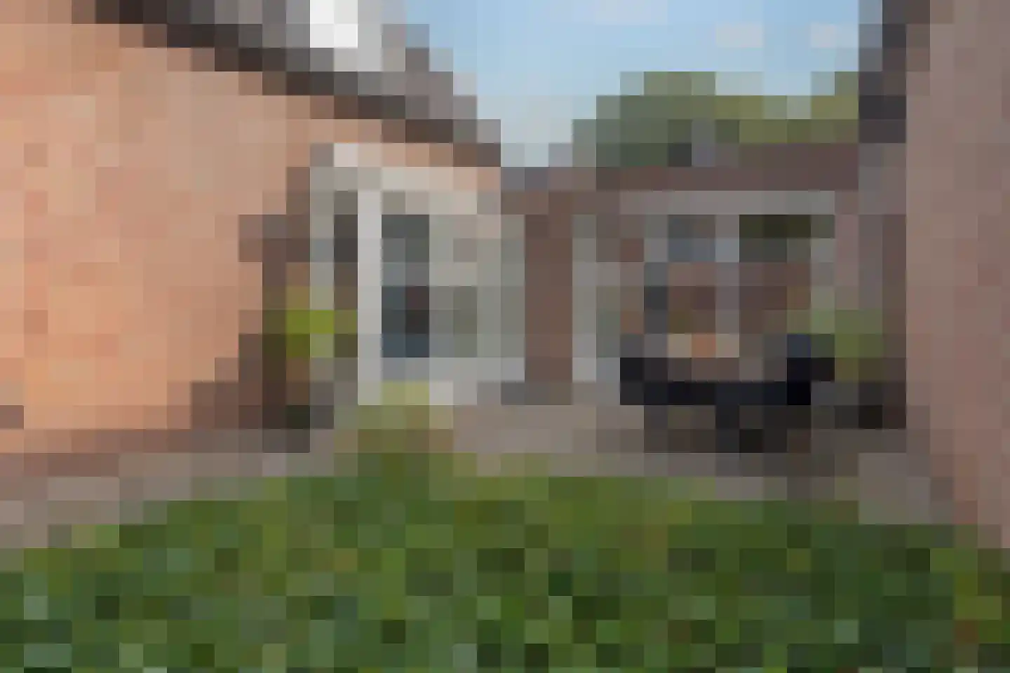 Beliënstraatje 2 Oirschot thumbnail 34