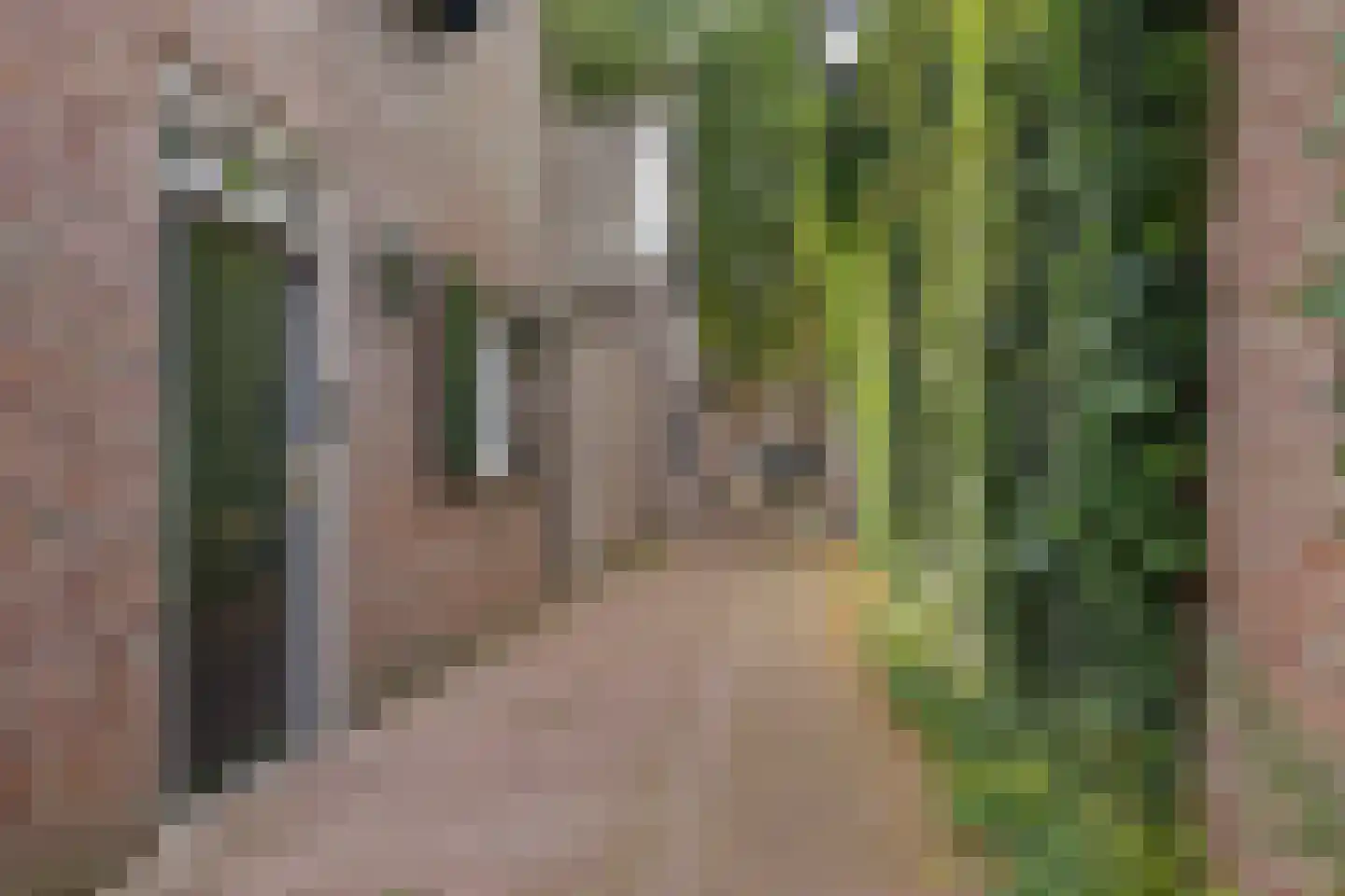 Beliënstraatje 2 Oirschot thumbnail 38