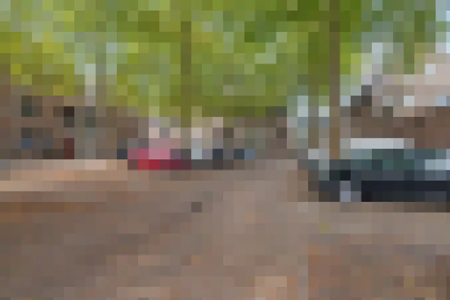 Beliënstraatje 2 Oirschot thumbnail 39