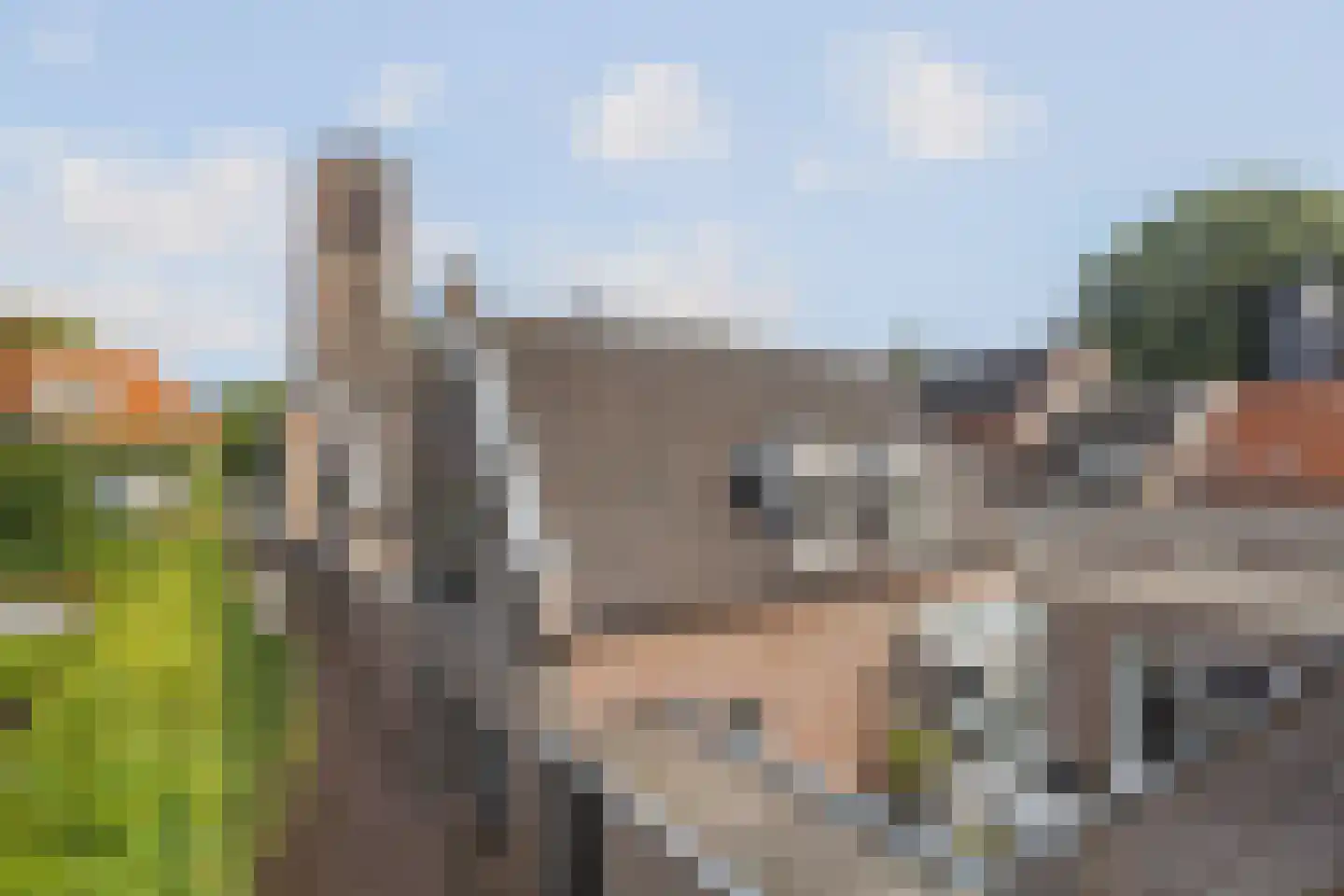 Beliënstraatje 2 Oirschot thumbnail 7