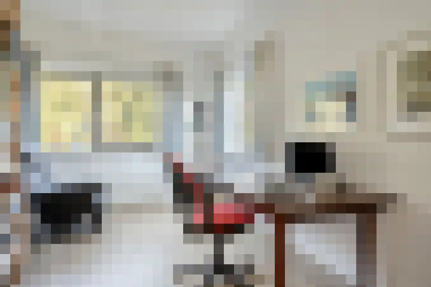 Belieslaan 36 Heiloo thumbnail 18