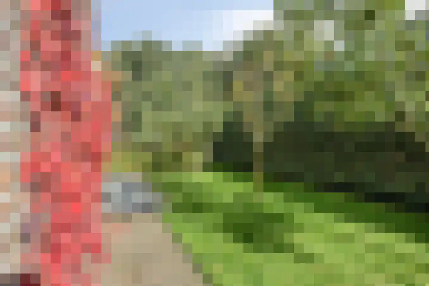 Belieslaan 36 Heiloo thumbnail 28