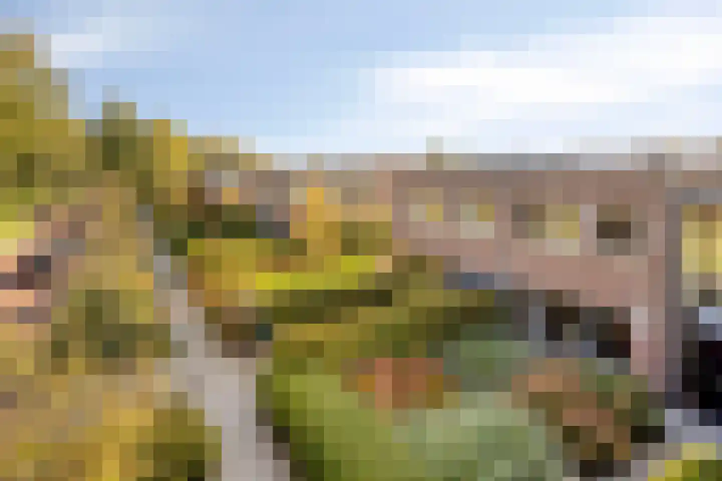 Belieslaan 36 Heiloo thumbnail 30