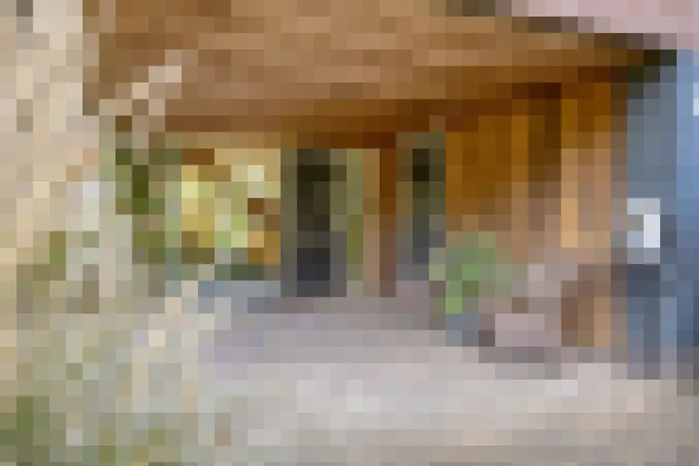 Belieslaan 36 Heiloo thumbnail 7