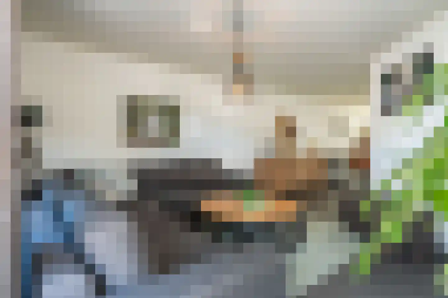 Belikstraat 28 Urmond thumbnail 11