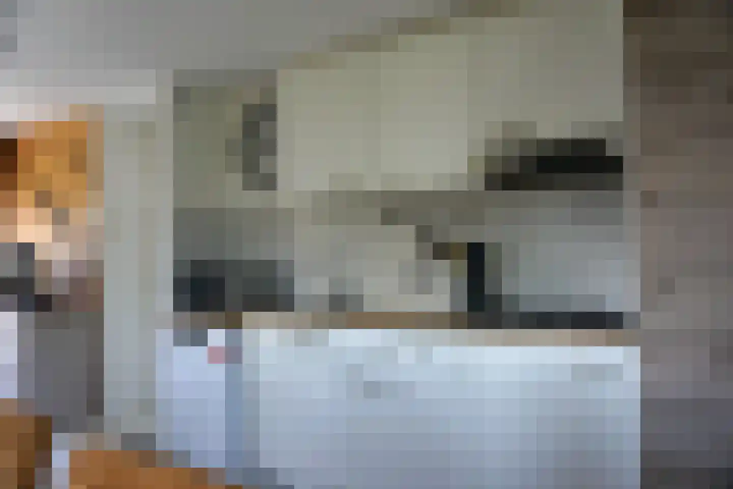 Belkmerweg 54 h60 Sint Maartensvlotbrug thumbnail 10