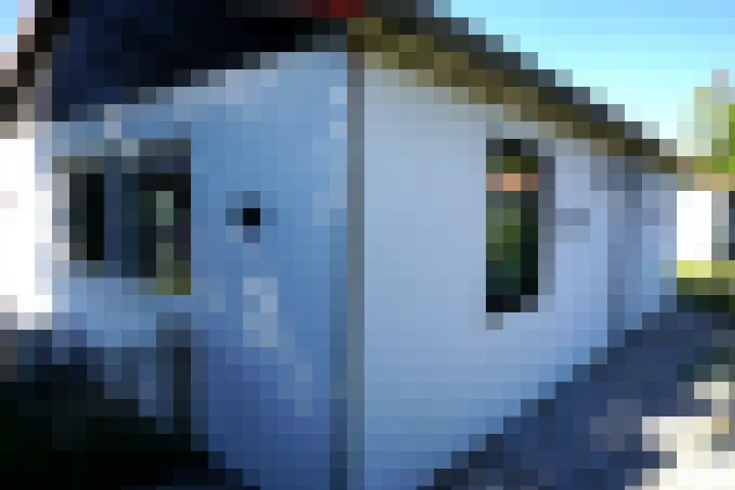 Belkmerweg 54 h60 Sint Maartensvlotbrug thumbnail 32