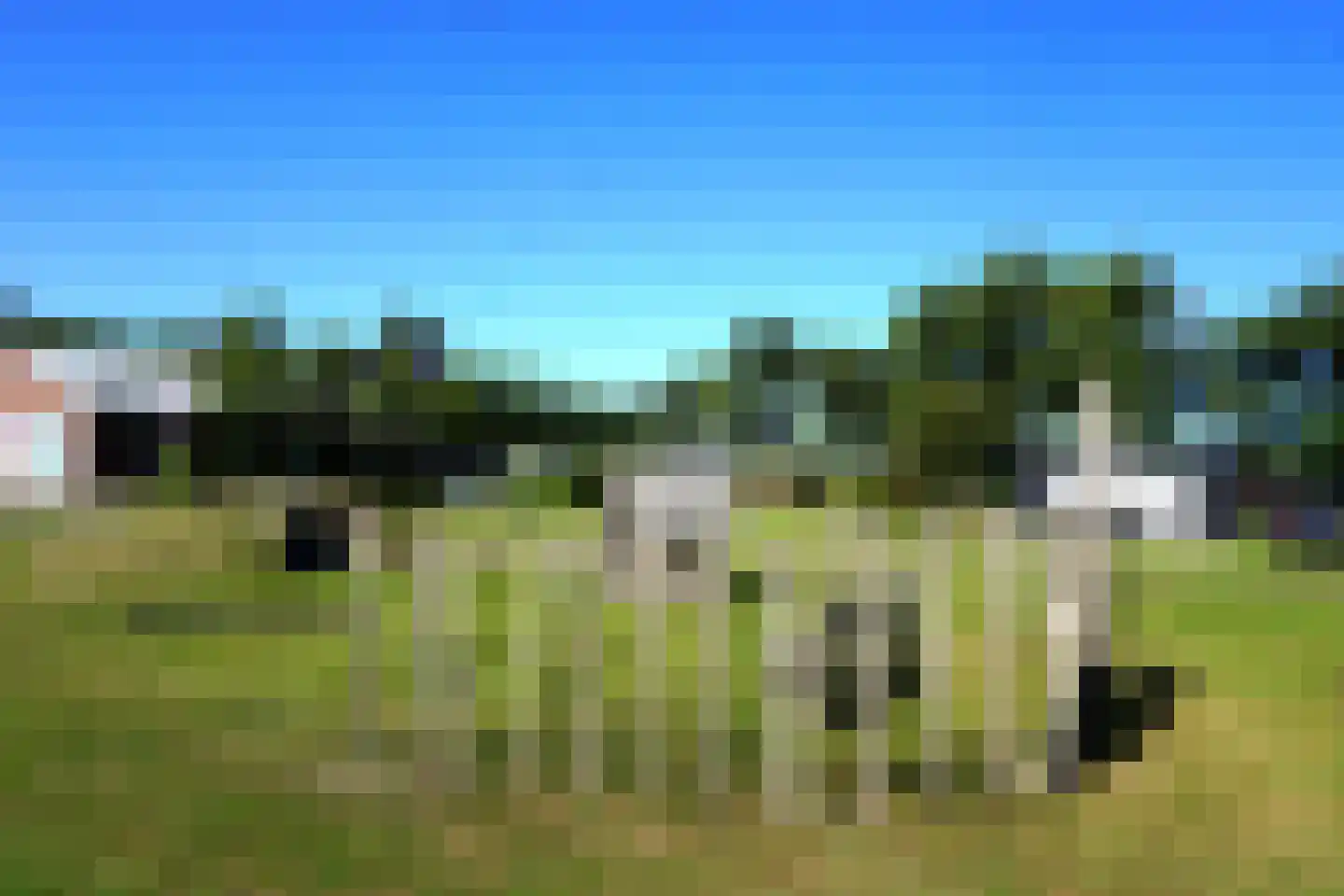 Belkmerweg 54 h60 Sint Maartensvlotbrug thumbnail 41