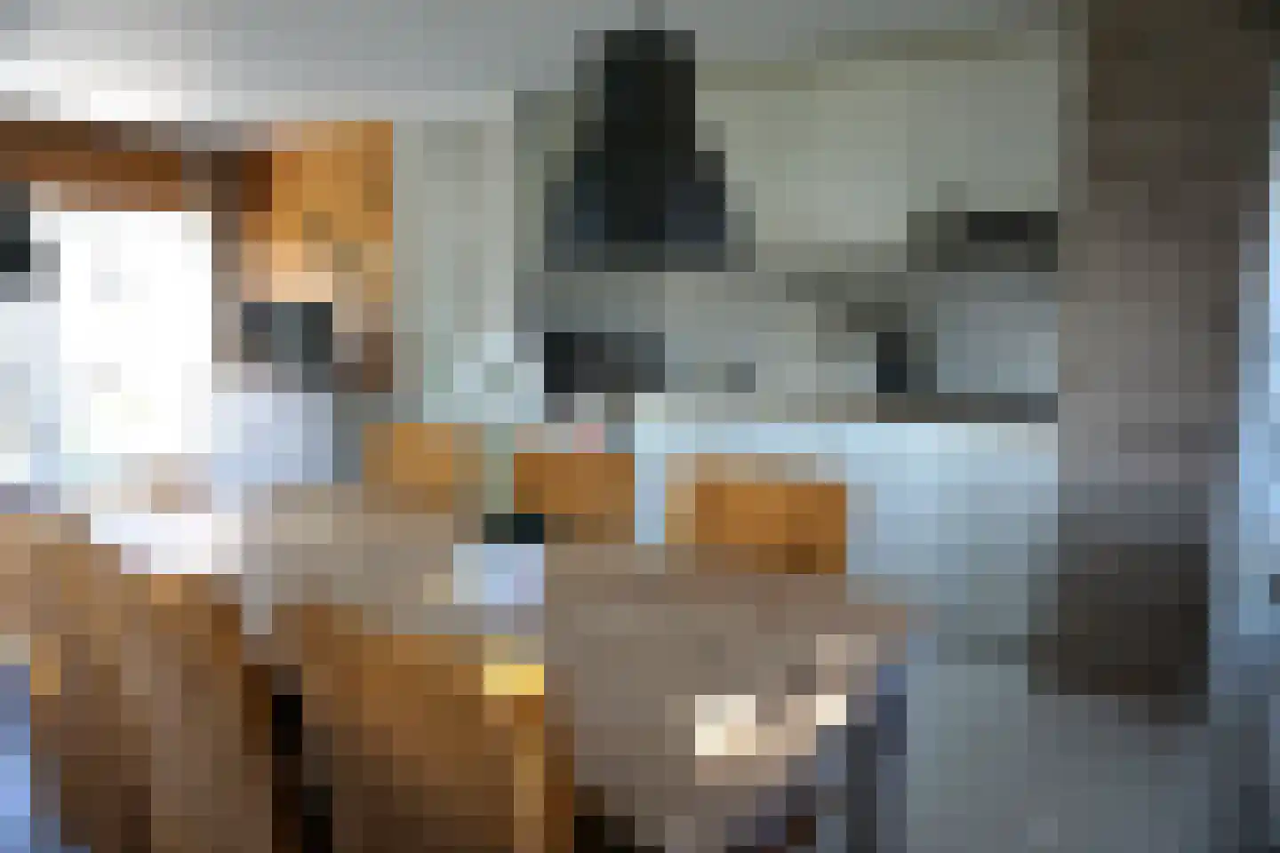 Belkmerweg 54 h60 Sint Maartensvlotbrug thumbnail 6