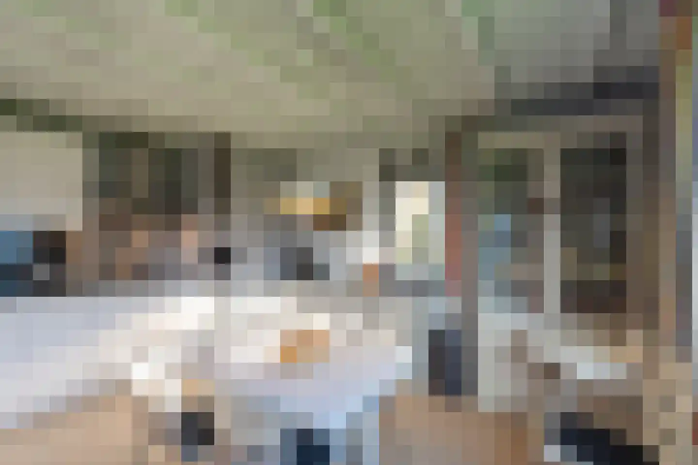 Belkmerweg 54 h67 Sint Maartensvlotbrug thumbnail 10