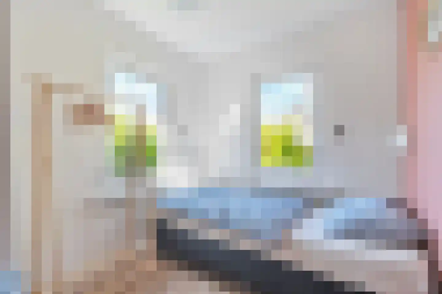 Belkmerweg 54 h74 Sint Maartensvlotbrug thumbnail 23