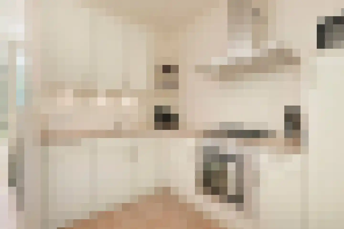 Belkmerweg 62 h11a Sint Maartensvlotbrug thumbnail 15
