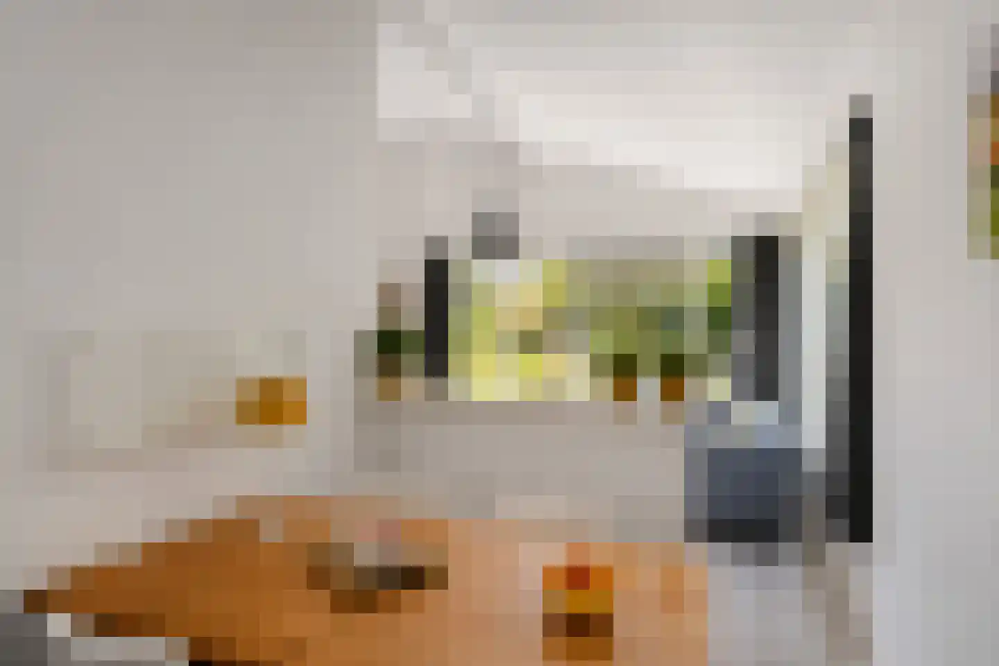 Belkmerweg 64 h14 Sint Maartensvlotbrug thumbnail 12