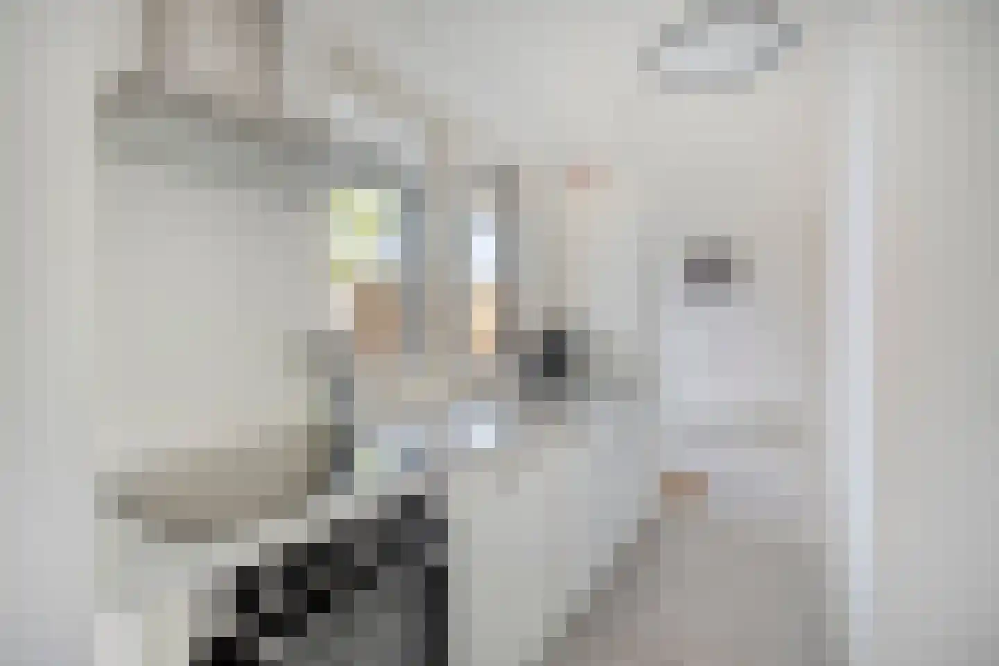 Belkmerweg 64 h14 Sint Maartensvlotbrug thumbnail 13