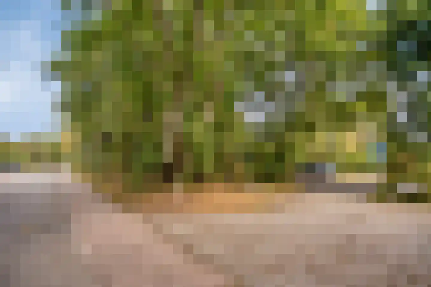 Belkmerweg 64 h14 Sint Maartensvlotbrug thumbnail 30