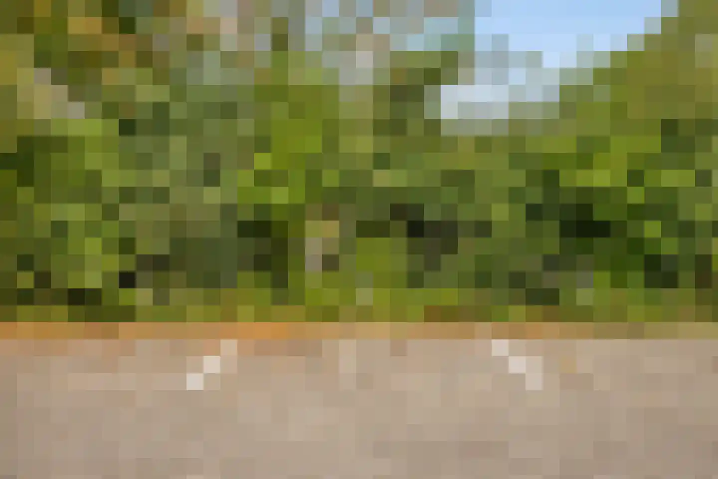 Belkmerweg 64 h14 Sint Maartensvlotbrug thumbnail 33