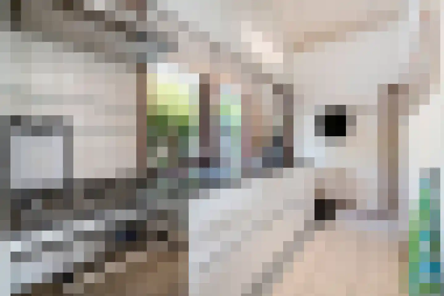 Belkmerweg 64 h15 Sint Maartensvlotbrug thumbnail 10