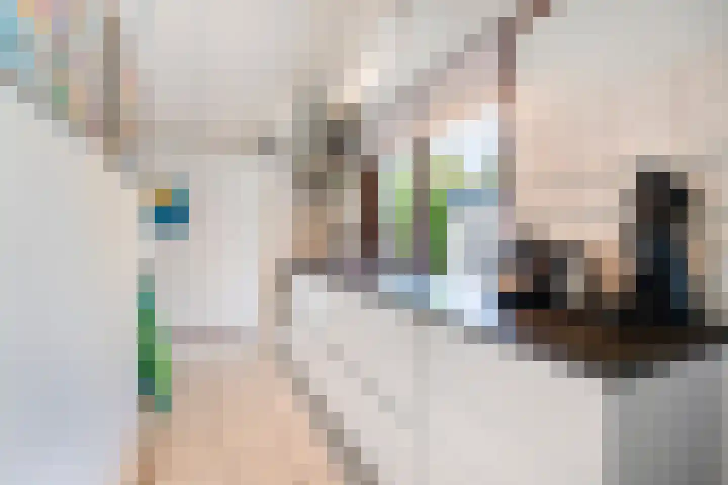 Belkmerweg 64 h15 Sint Maartensvlotbrug thumbnail 11
