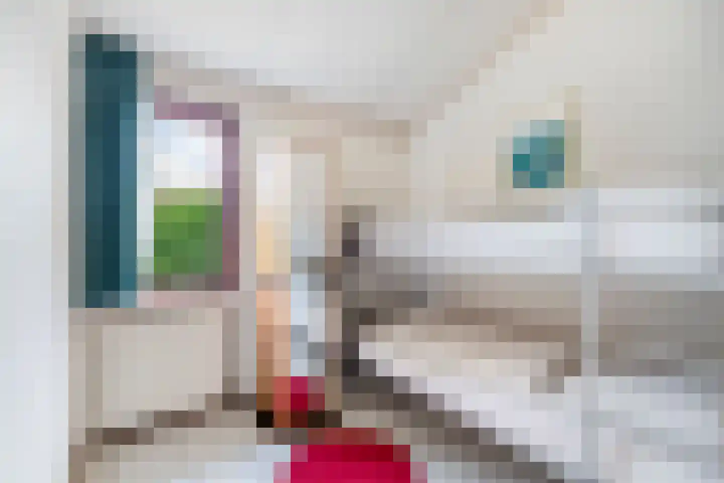 Belkmerweg 64 h15 Sint Maartensvlotbrug thumbnail 17