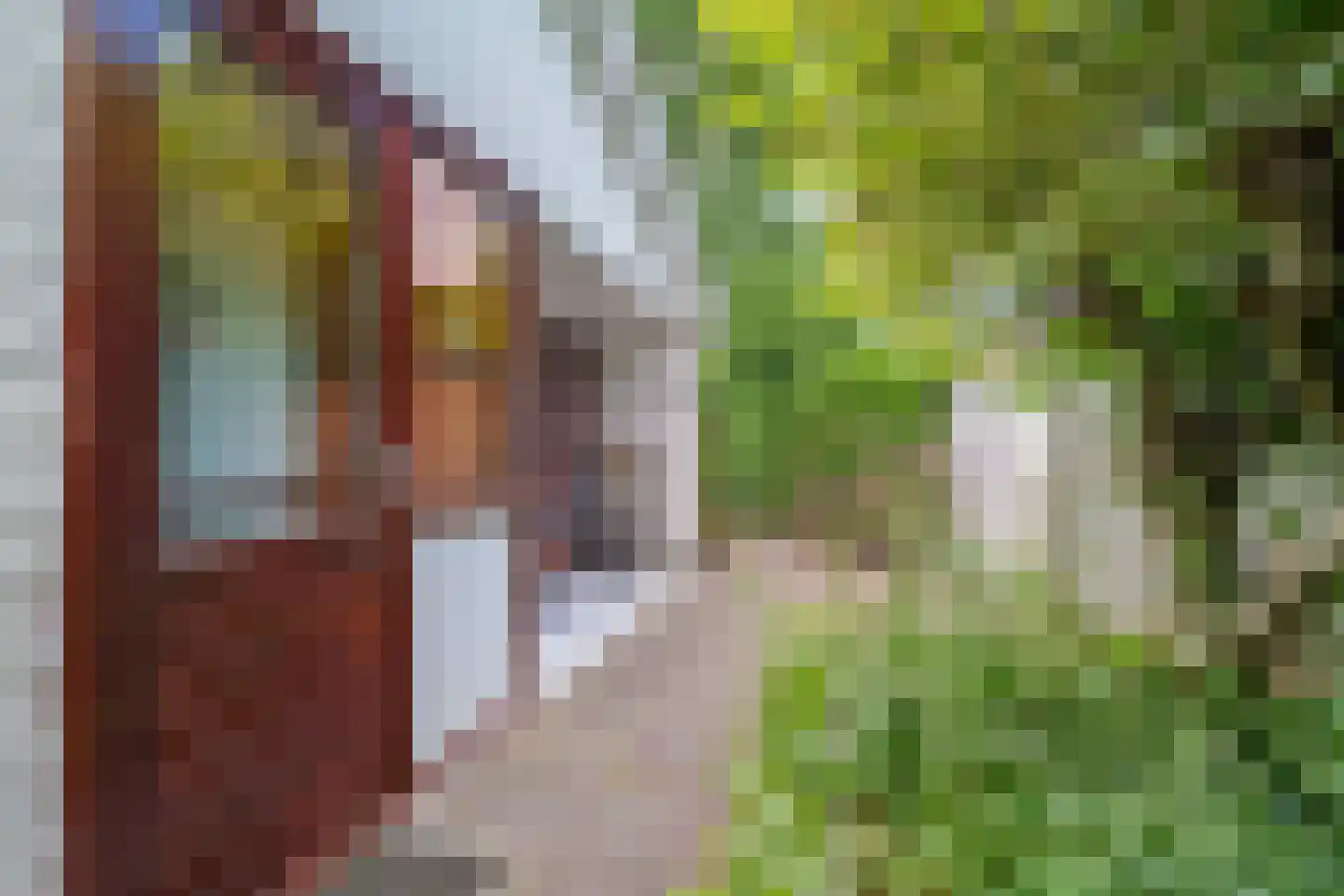 Belkmerweg 64 h15 Sint Maartensvlotbrug thumbnail 19