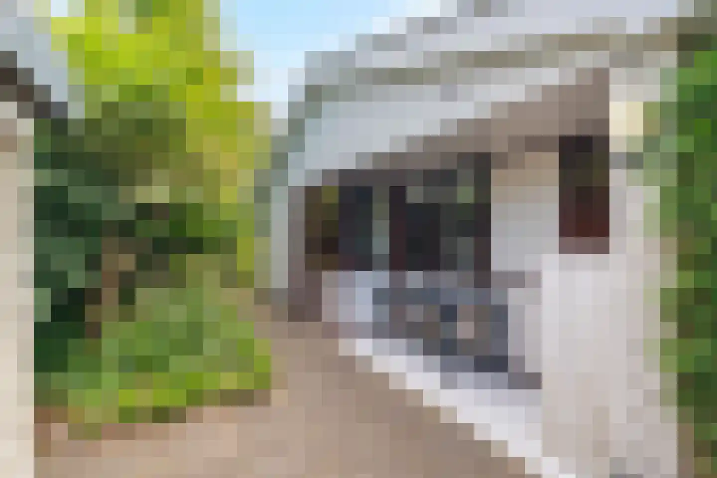 Belkmerweg 64 h15 Sint Maartensvlotbrug thumbnail 20