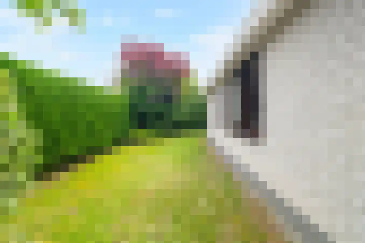 Belkmerweg 64 h15 Sint Maartensvlotbrug thumbnail 22