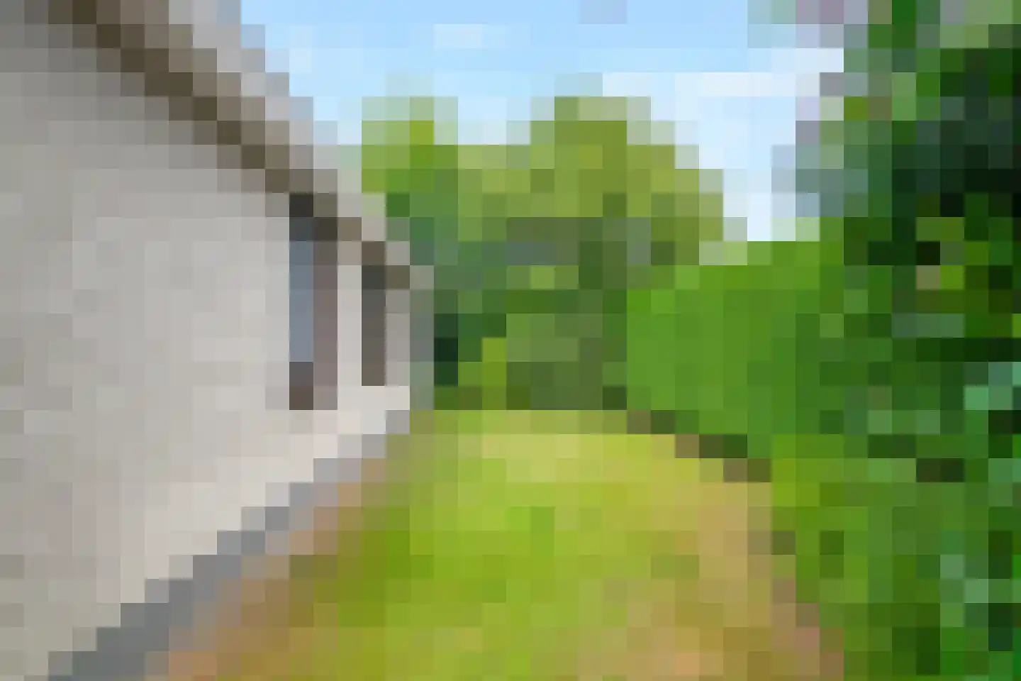 Belkmerweg 64 h15 Sint Maartensvlotbrug thumbnail 23