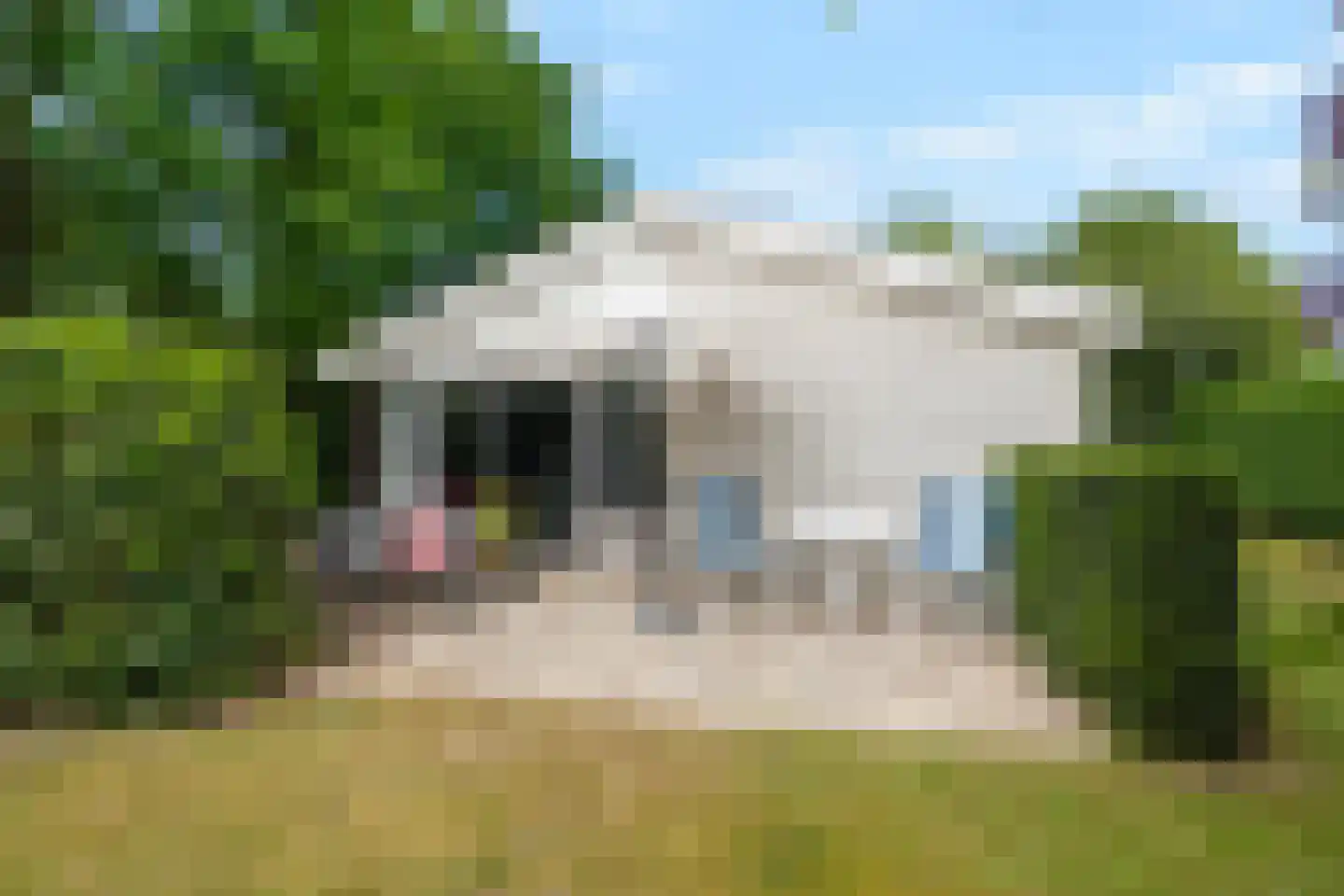 Belkmerweg 64 h15 Sint Maartensvlotbrug thumbnail 25