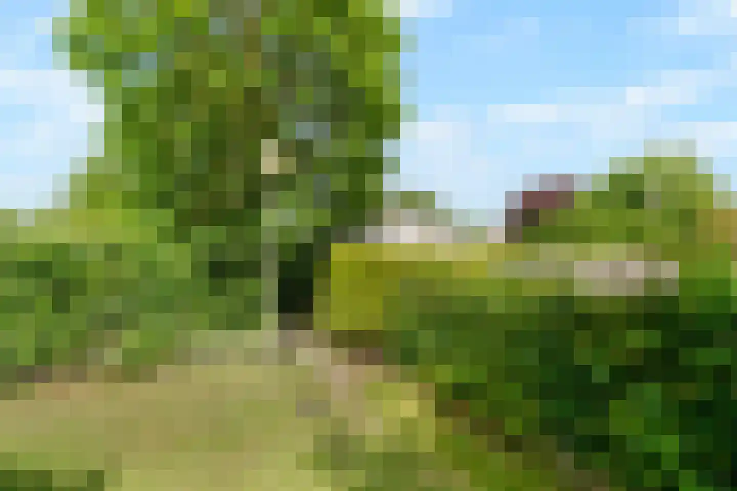 Belkmerweg 64 h15 Sint Maartensvlotbrug thumbnail 26