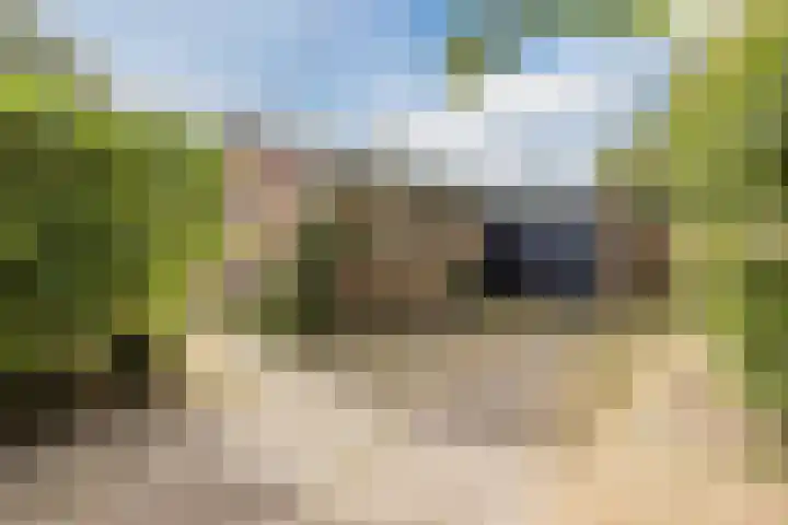 Belkmerweg 66 A Sint Maartensvlotbrug thumbnail 11