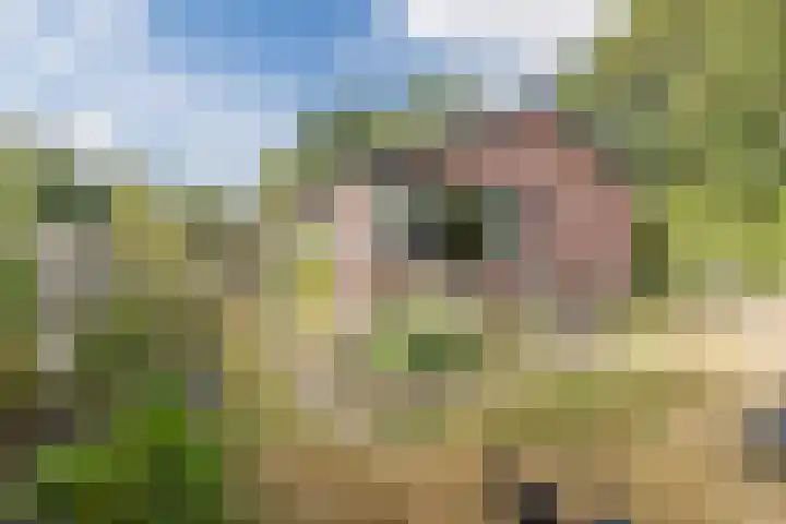 Belkmerweg 66 A Sint Maartensvlotbrug thumbnail 4