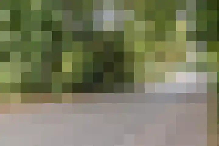 Belkmerweg 66 A Sint Maartensvlotbrug thumbnail 41