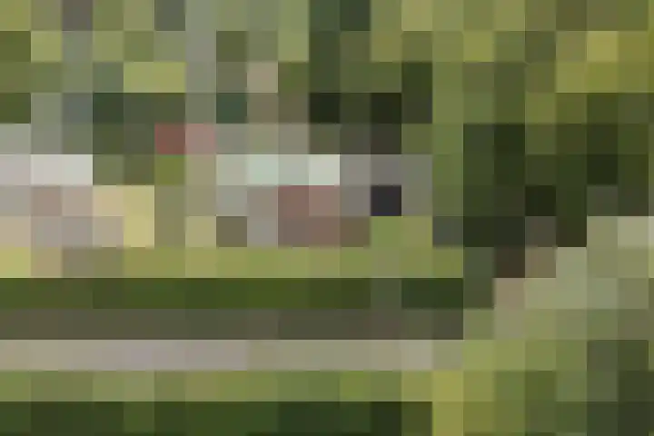 Belkmerweg 66 A Sint Maartensvlotbrug thumbnail 7