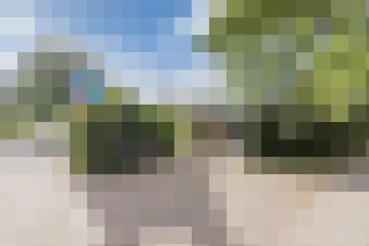 Belkmerweg 66 A Sint Maartensvlotbrug thumbnail 9