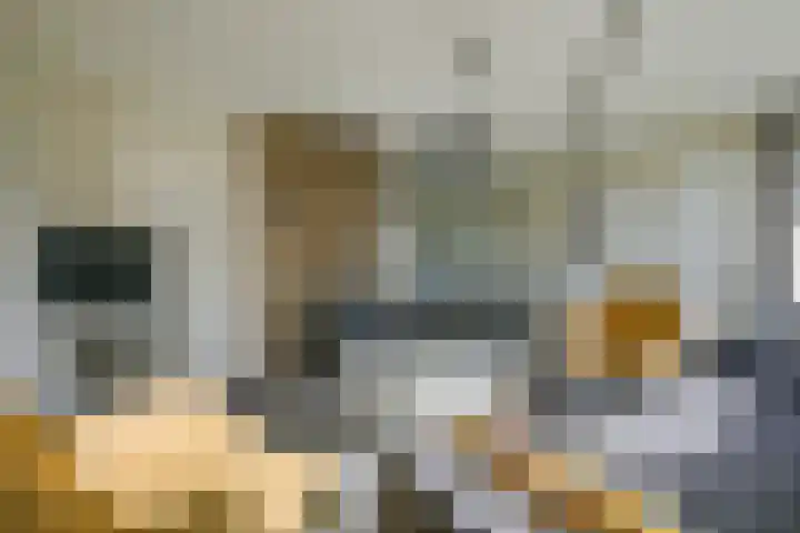 Belkmerweg 68 h2 Sint Maartensvlotbrug thumbnail 10