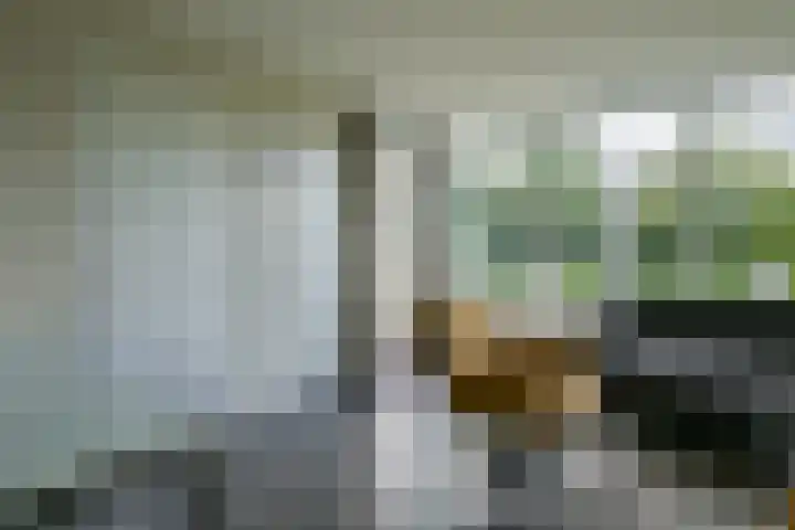 Belkmerweg 68 h2 Sint Maartensvlotbrug thumbnail 12