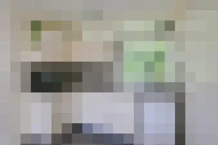 Belkmerweg 68 h2 Sint Maartensvlotbrug thumbnail 15