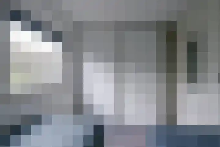 Belkmerweg 68 h2 Sint Maartensvlotbrug thumbnail 18