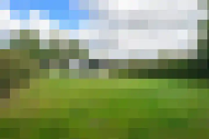 Belkmerweg 68 h2 Sint Maartensvlotbrug thumbnail 23