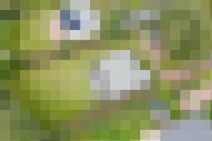 Belkmerweg 68 h2 Sint Maartensvlotbrug thumbnail 30