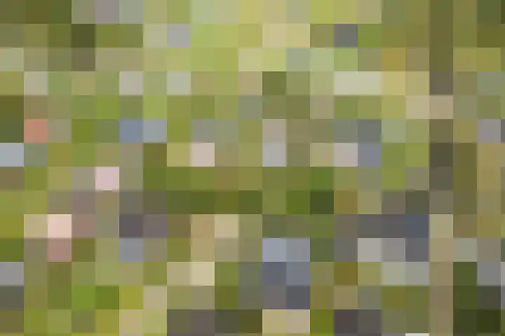 Belkmerweg 68 h2 Sint Maartensvlotbrug thumbnail 31
