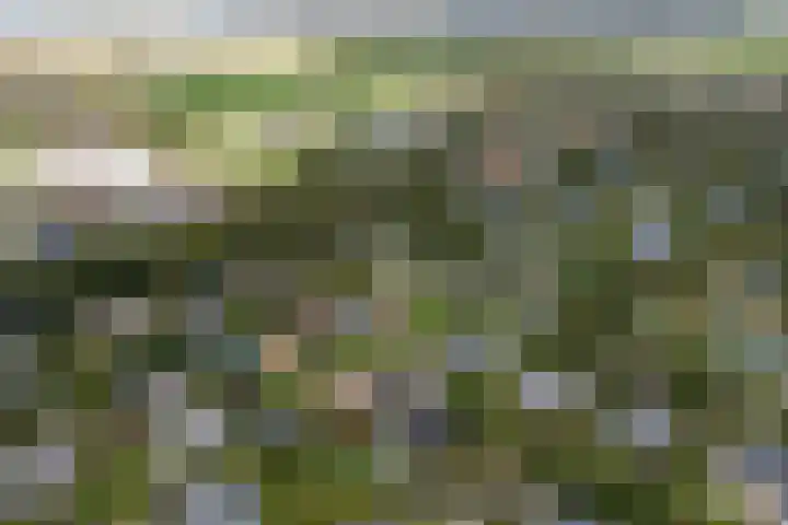 Belkmerweg 68 h2 Sint Maartensvlotbrug thumbnail 32