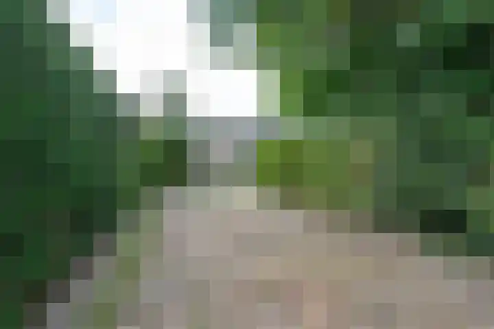 Belkmerweg 68 h2 Sint Maartensvlotbrug thumbnail 4