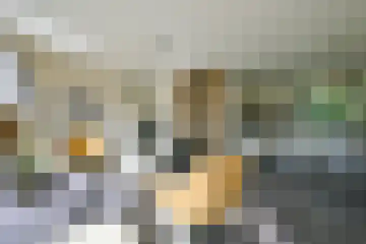 Belkmerweg 68 h2 Sint Maartensvlotbrug thumbnail 9