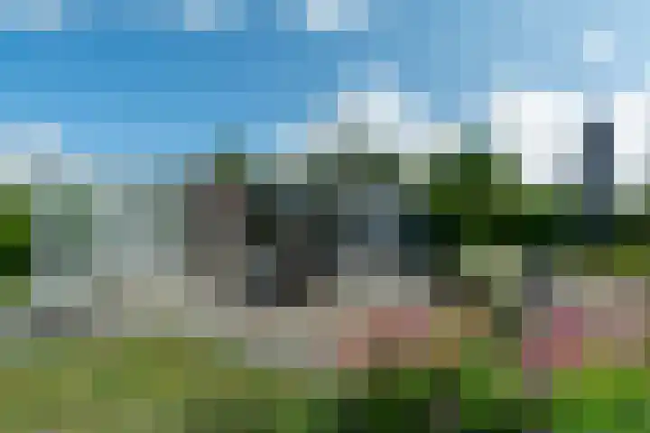 Belkmerweg 68 h27 Sint Maartensvlotbrug thumbnail 25