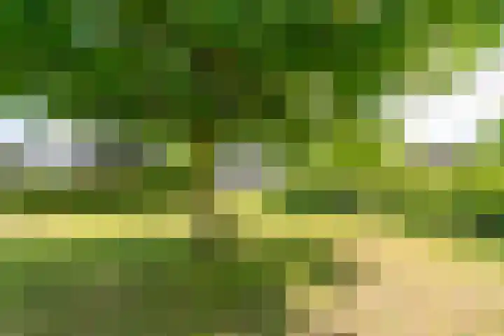 Belkmerweg 68 h27 Sint Maartensvlotbrug thumbnail 26