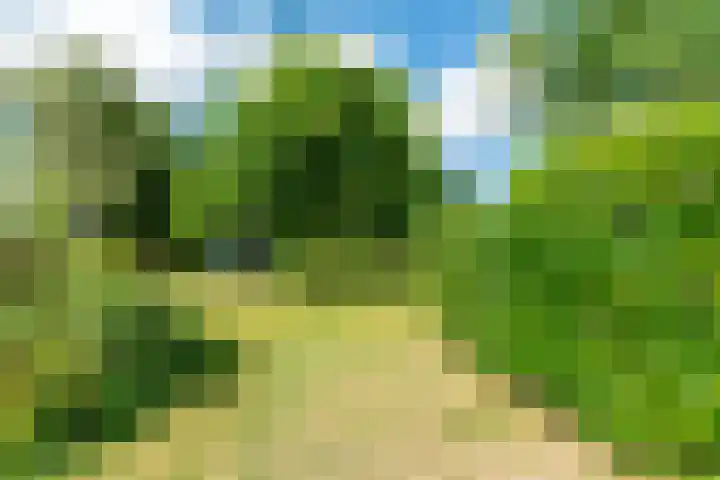 Belkmerweg 68 h27 Sint Maartensvlotbrug thumbnail 27