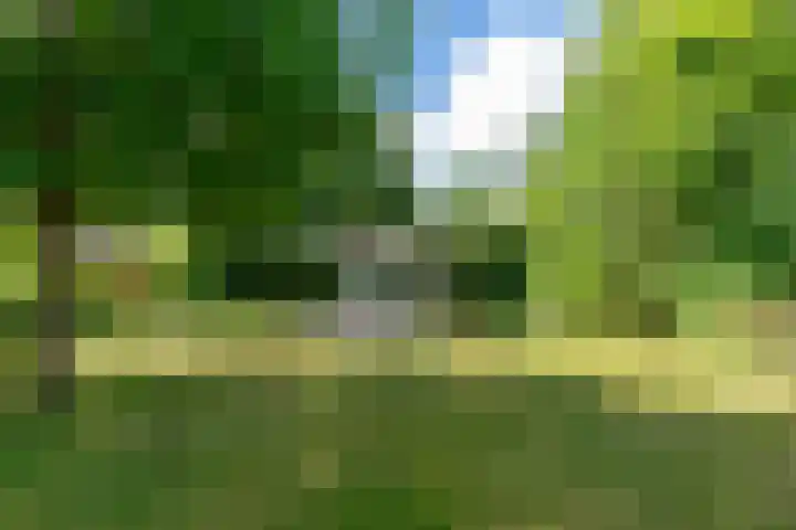 Belkmerweg 68 h27 Sint Maartensvlotbrug thumbnail 28