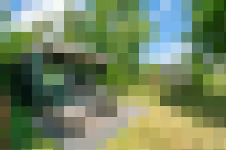 Belkmerweg 68 h27 Sint Maartensvlotbrug thumbnail 29