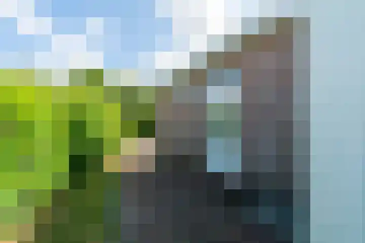 Belkmerweg 68 h27 Sint Maartensvlotbrug thumbnail 30